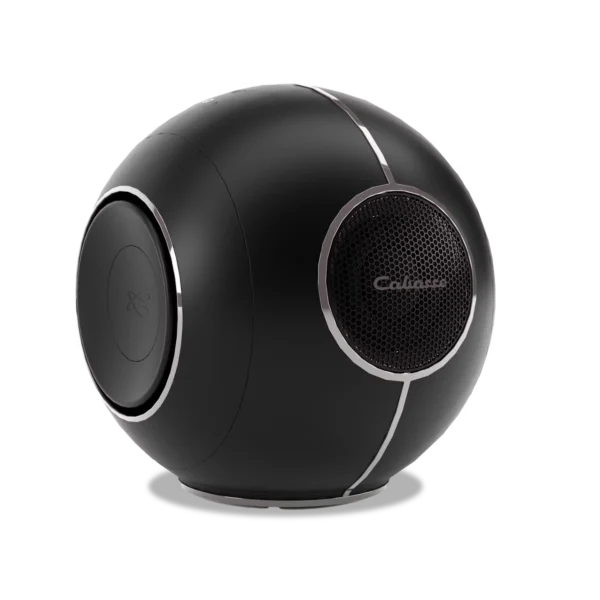 Enceinte Cabasse Myuki noire